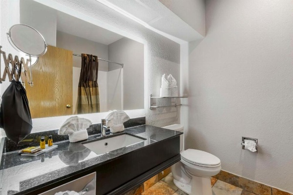 Best Western Plus Des Moines West Inn And Suites image 14