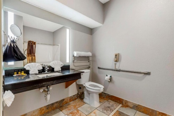 Best Western Plus Des Moines West Inn And Suites image 18